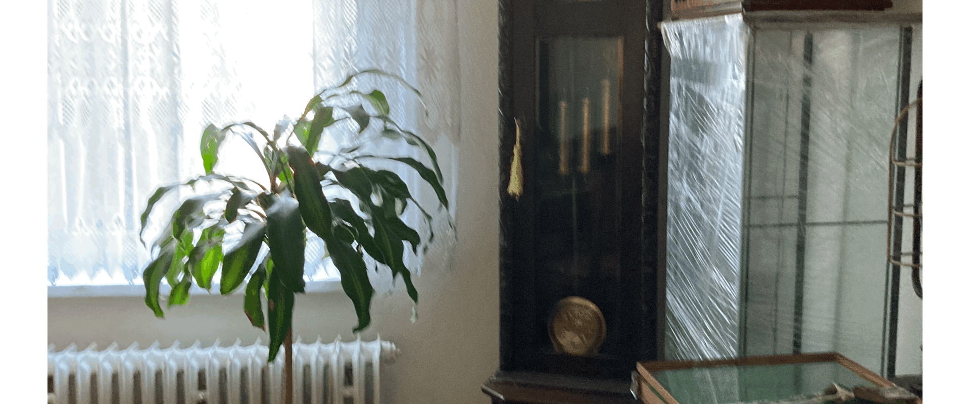 Priestranný rod. dom so záhradou a garážou v centre D.Stredy