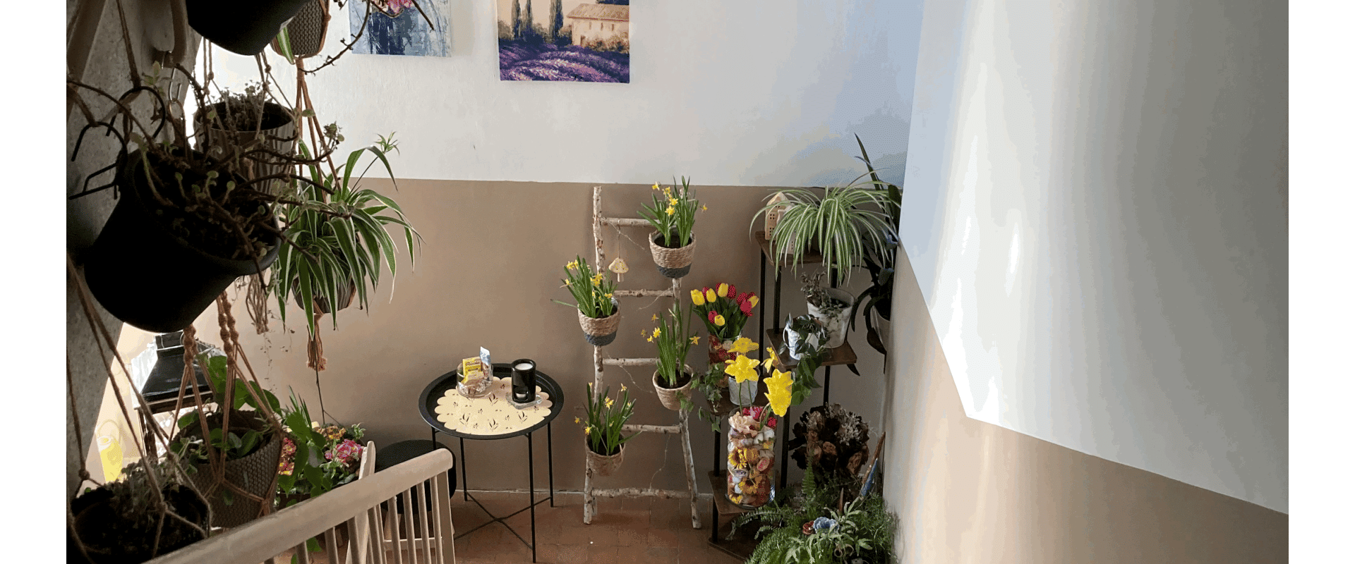 Slnečný 3 izb byt za dobrú cenu 35 km od Bratislavy