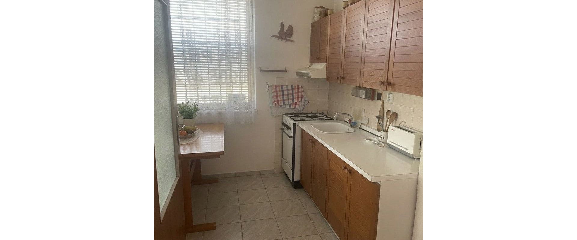 Viničný dom v Leviciach