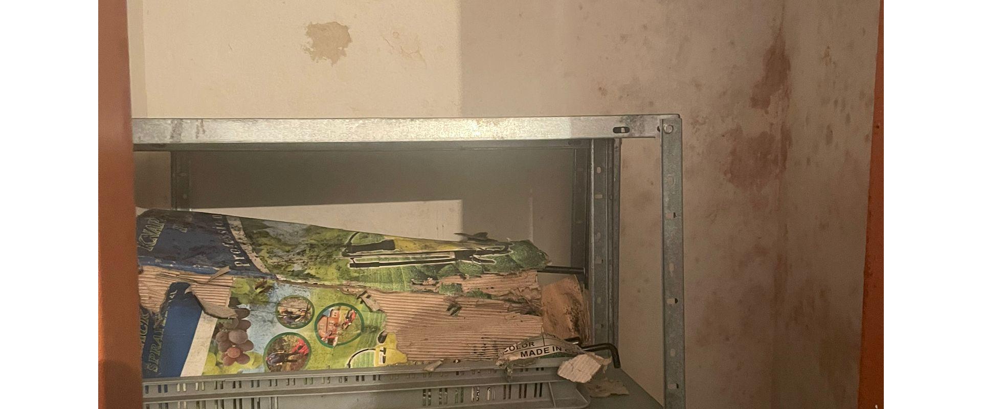 Viničný dom v Leviciach