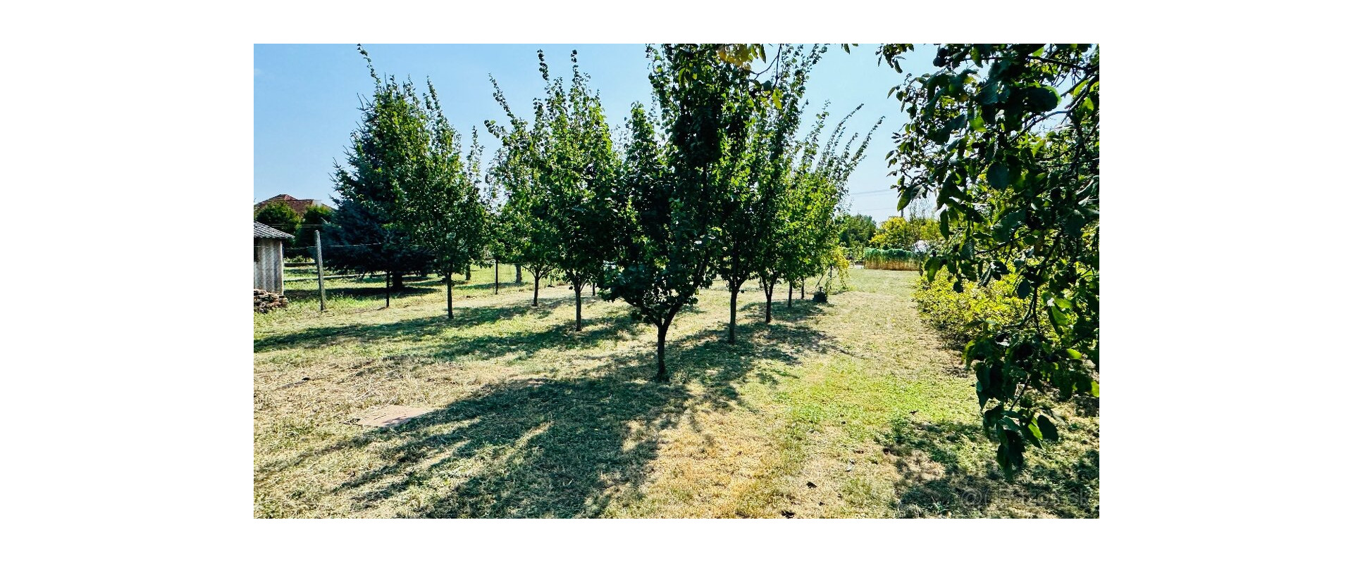 VIDIECKY DOM S DUŠOU + INVESTIČNÝ POZEMOK 1443 m² | BRANČ