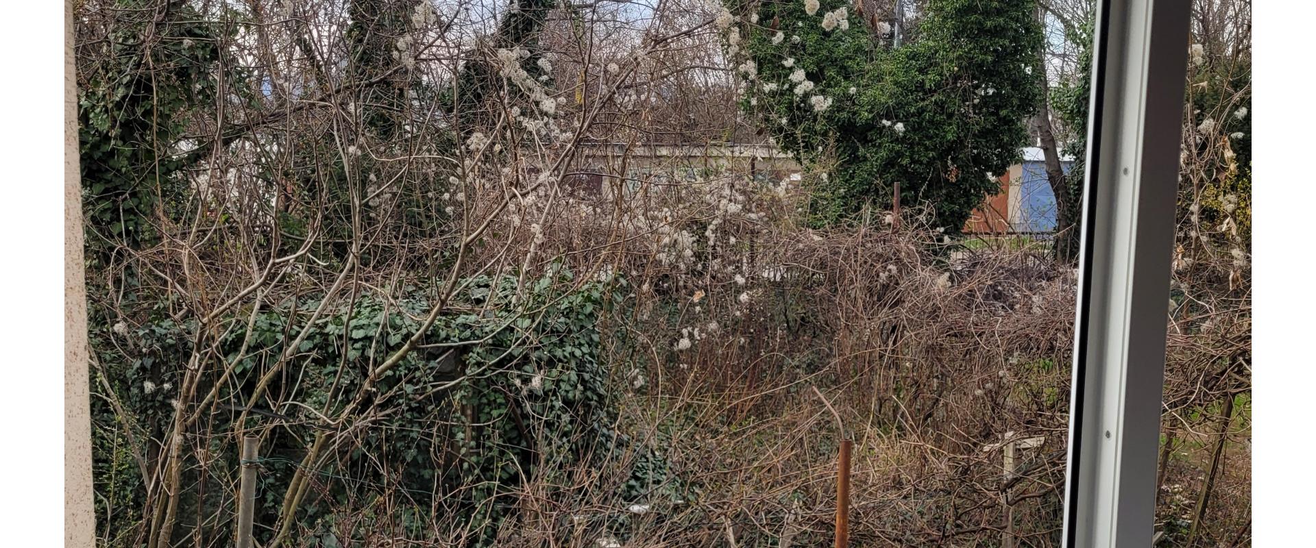 Predaj 2 izbového veľkometrážneho bytu, Olbrachtova