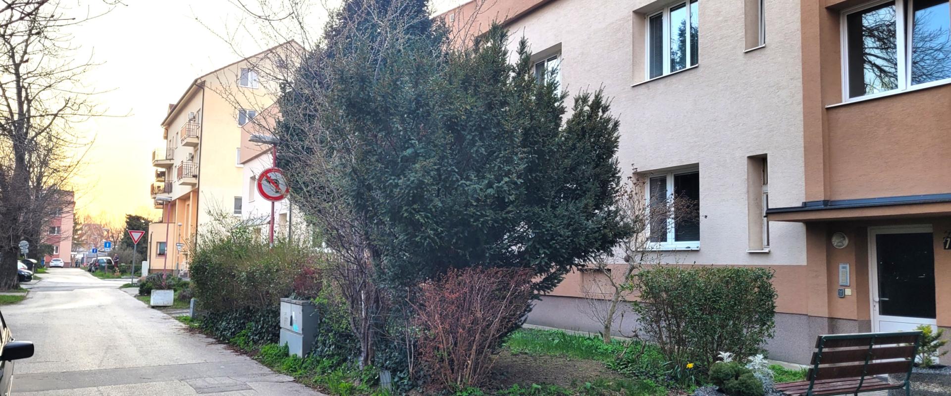 Predaj 2 izbového veľkometrážneho bytu, Olbrachtova