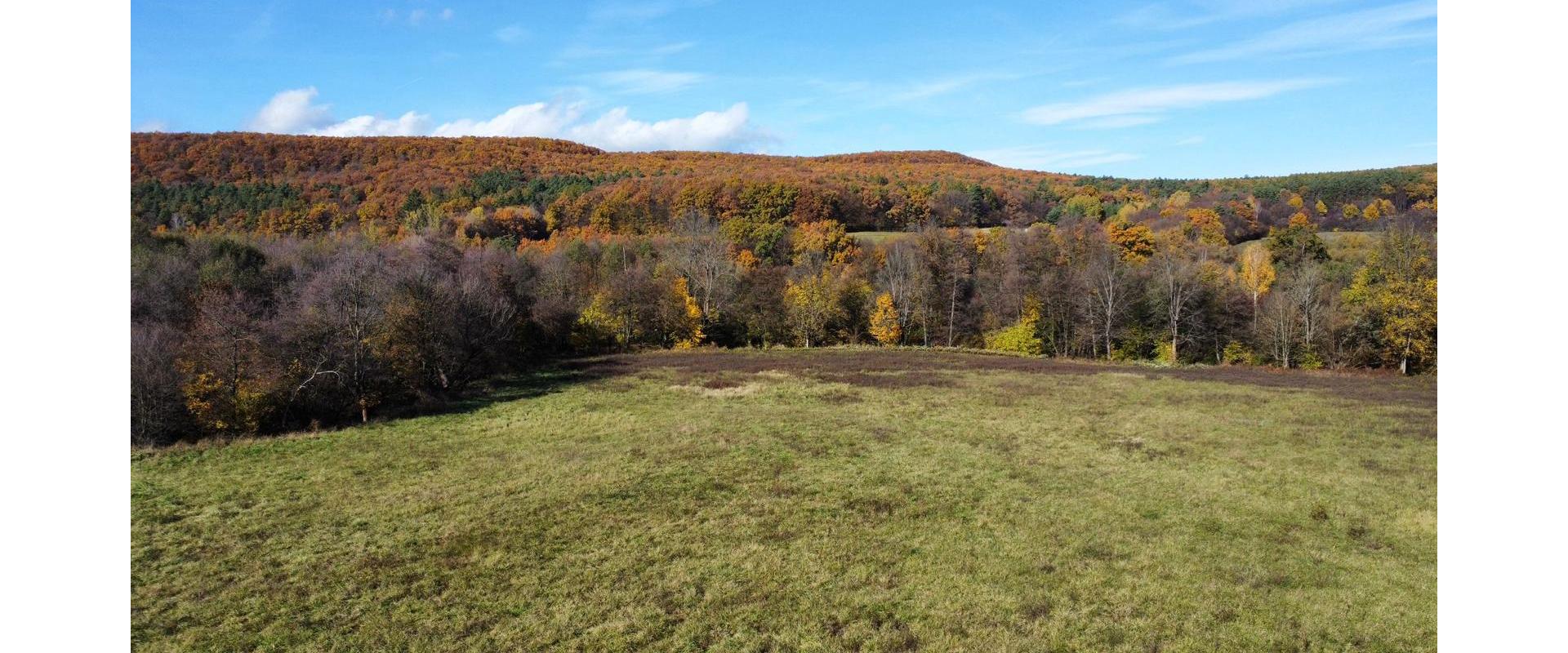 Pozemok 632 m² pri hlavnom ťahu s potokom – Veľká Čausa