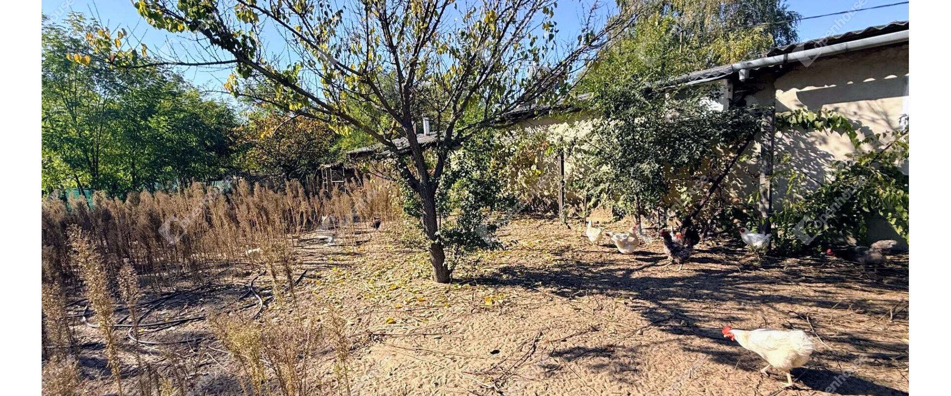 Pokojné bývanie s potenciálom: dom s vinohradom a záhradou