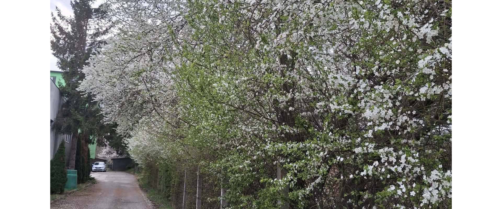 GARSÓNKA s garážou