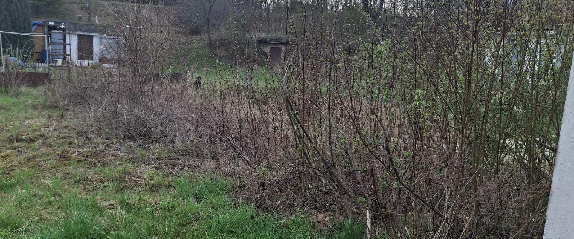 GARSÓNKA s garážou