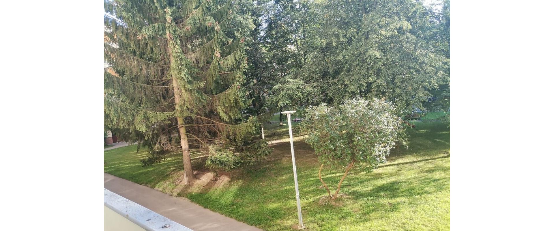 PRENÁJOM 1-IZBOVÝ BYT na Vlčincoch s dvoma logiami