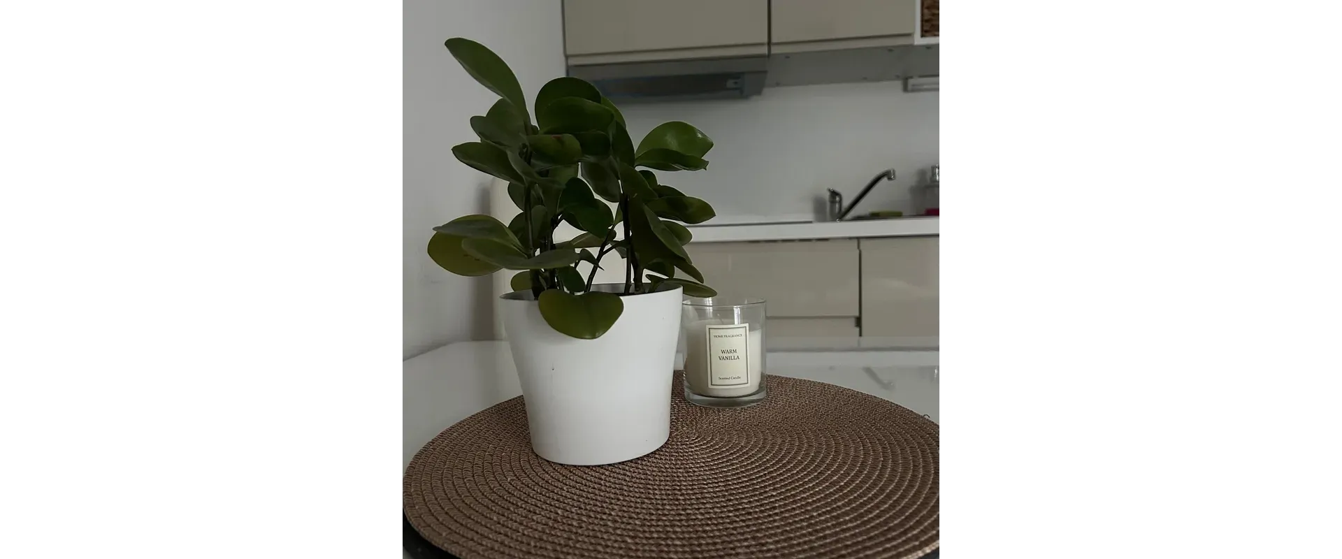 Štýlové bývanie v centre Žiliny– parkovanie, garsónka 29 m²