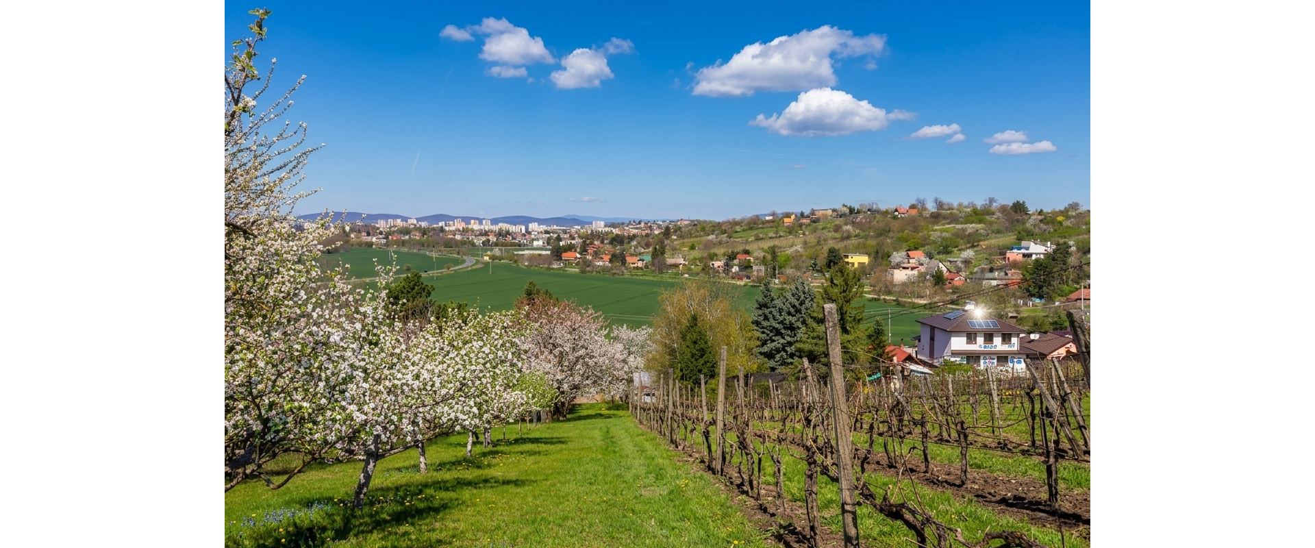 VINIČNÝ DOM S KRÁSNYM VÝHĽADOM – Možnosť trvalého bývania