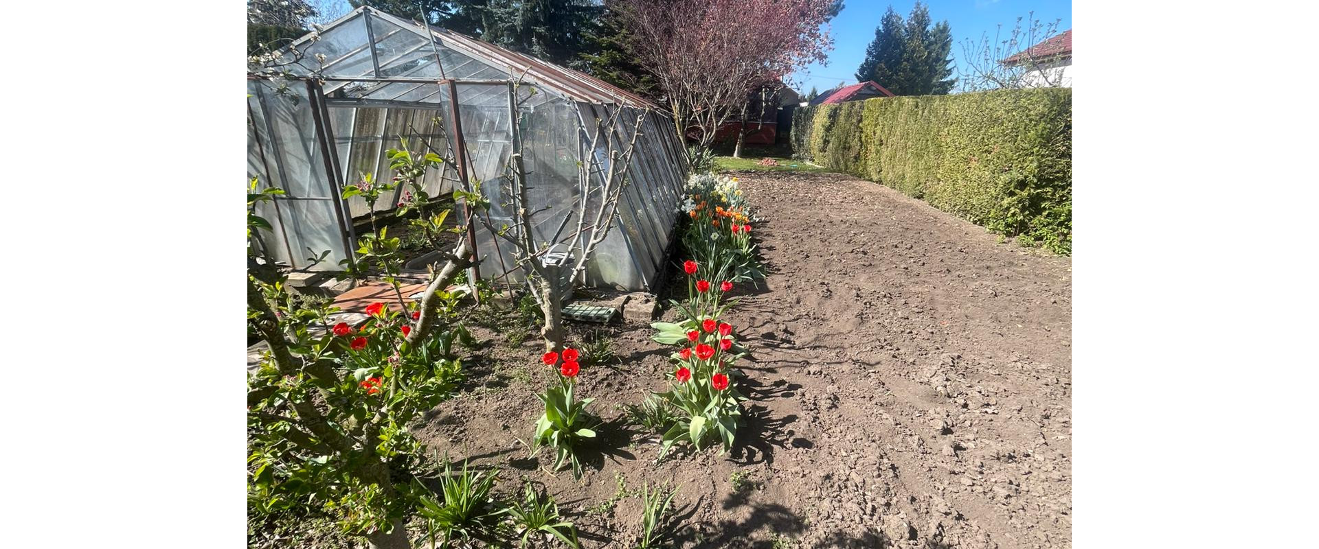 Oáza pokoja v Leviciach