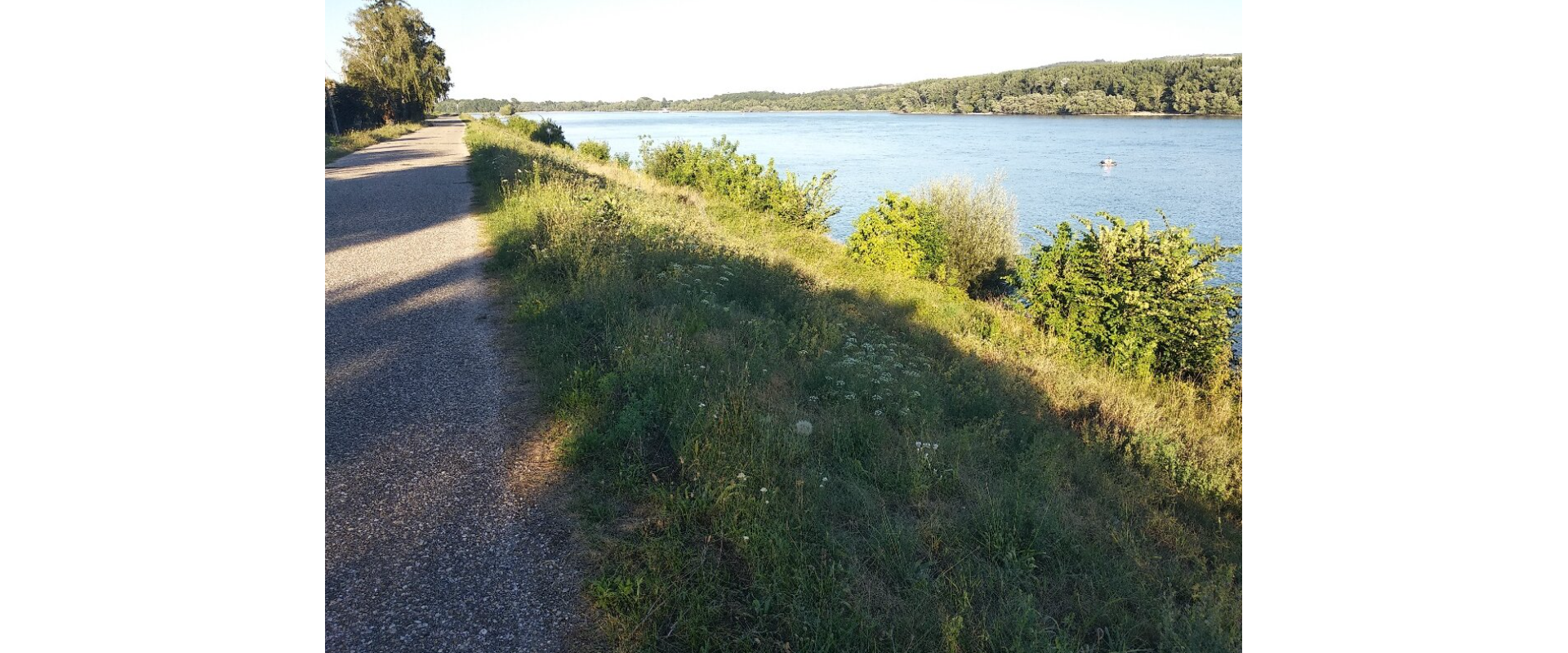 EXKLUZÍVNA PRÍLEŽITOSŤ PRI DUNAJI – POZEMOK V OBCI MOČA