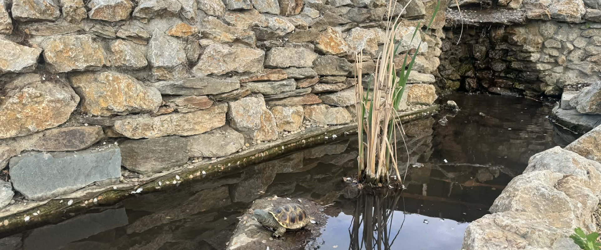 Záhrada s chatkou, 925m2, ul. Osiková, Vyšné Opátske, Košice