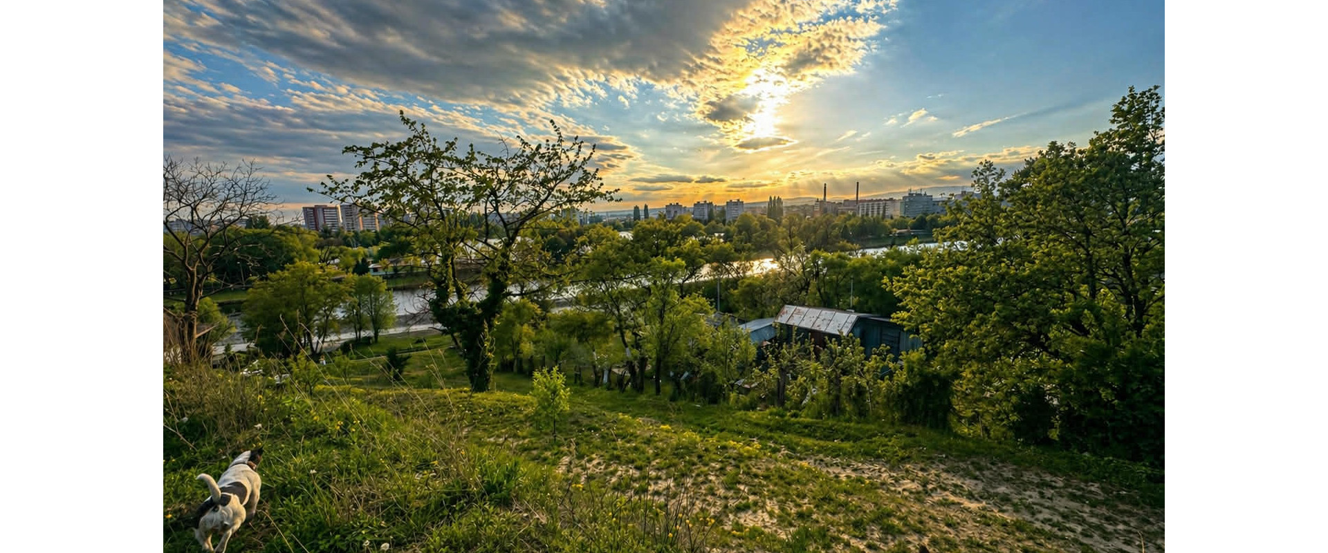 Záhrada s chatkou, 925m2, ul. Osiková, Vyšné Opátske, Košice
