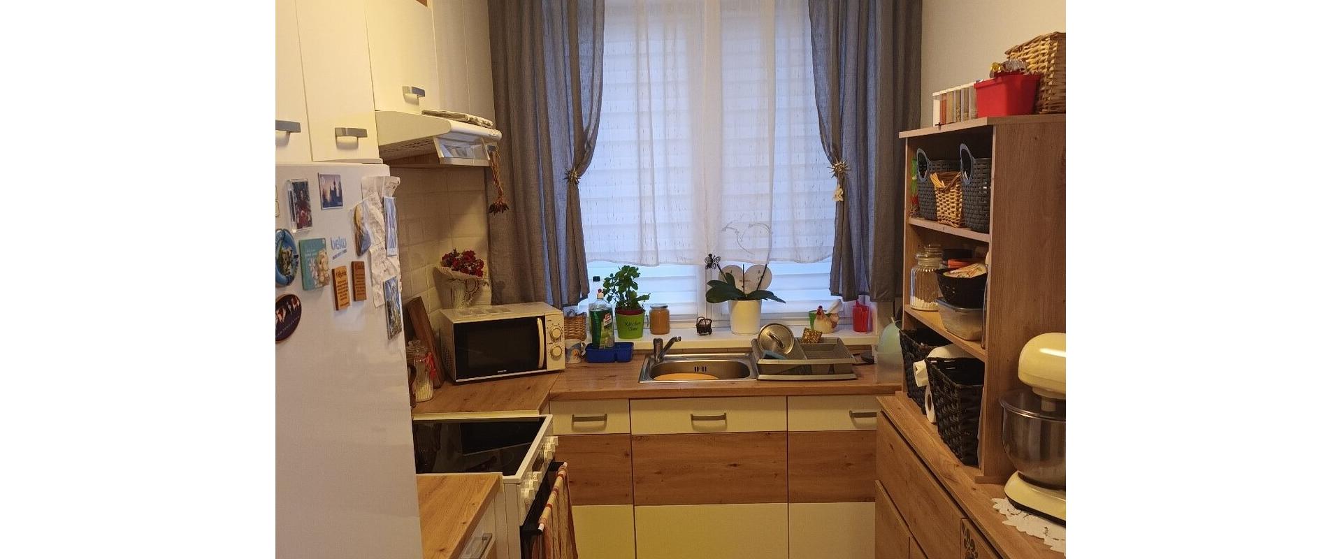 Veľký 3izb. byt s veľkou terasou 35 min od BA