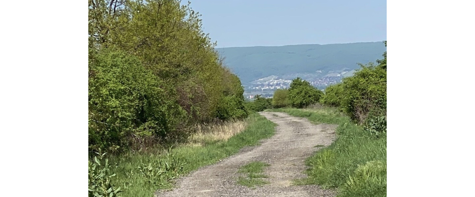 Predaj investičneho pozemku Bernolakovo Senec Grob
