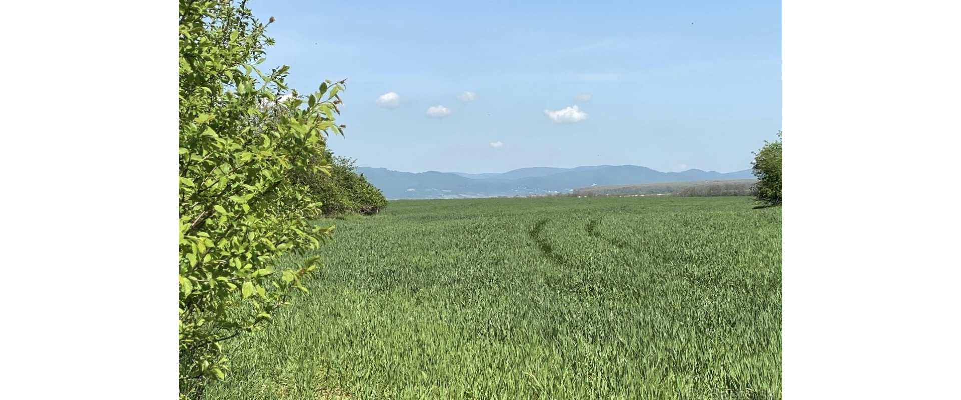 Predaj investičneho pozemku Bernolakovo Senec Grob