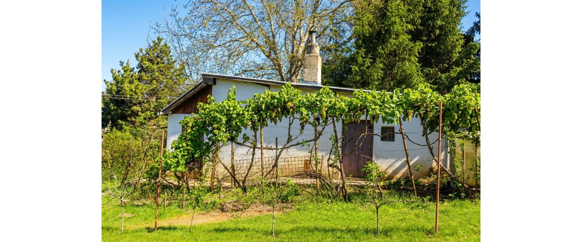 Viničný dom s unikátnou pivnicou: Možnosť trvalého pobytu