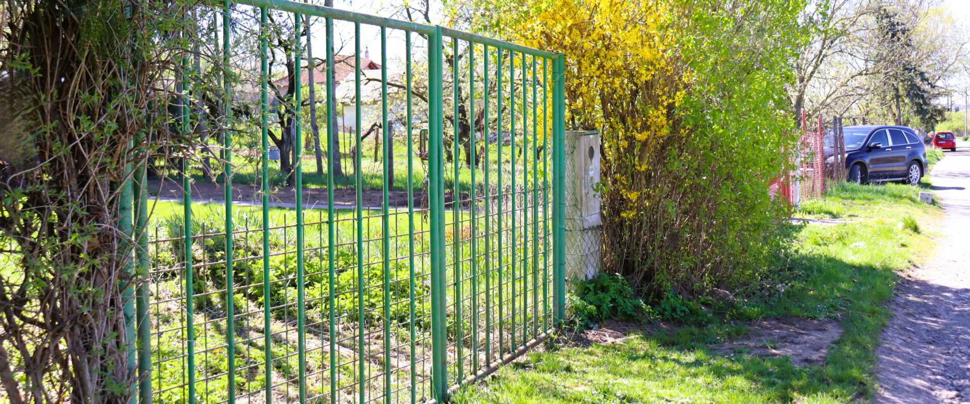 Viničný dom s unikátnou pivnicou: Možnosť trvalého pobytu