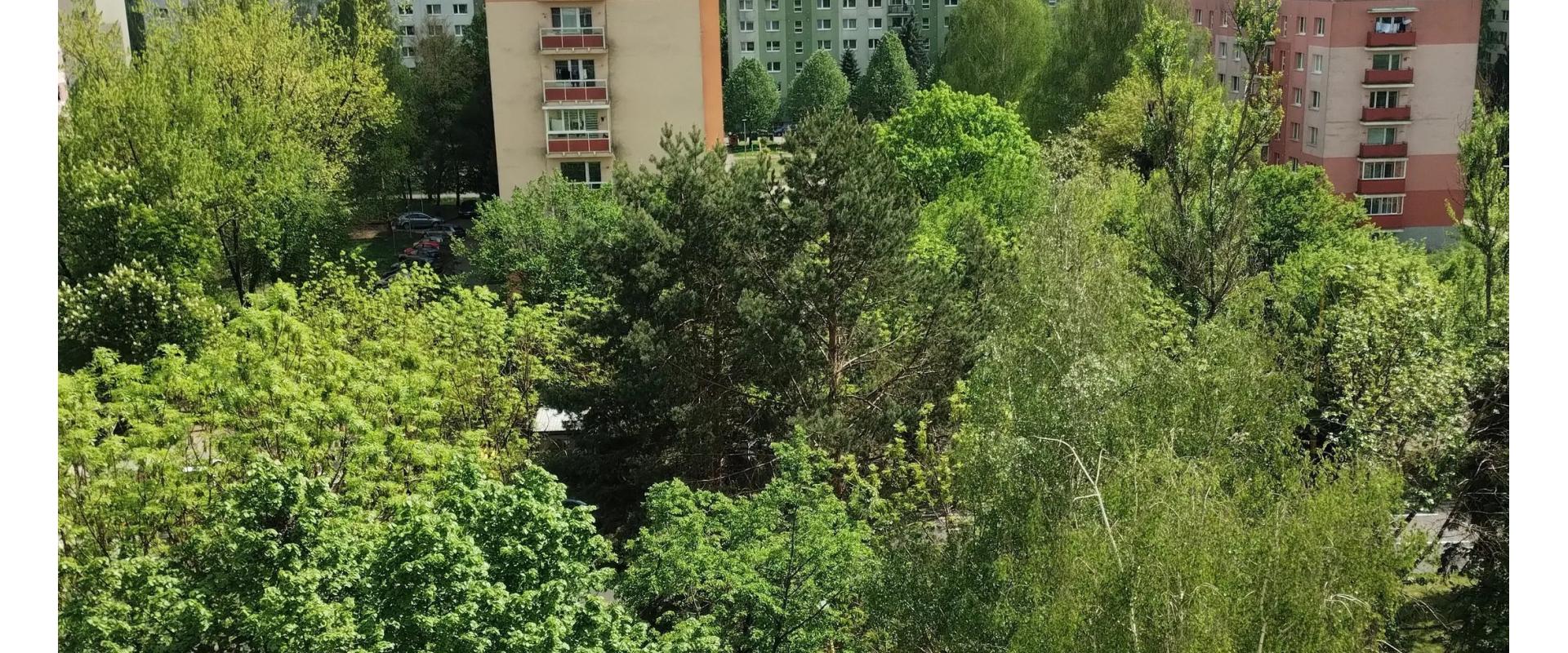 1-izbový moderný byt s výhľadom na hory uprostred zelene.