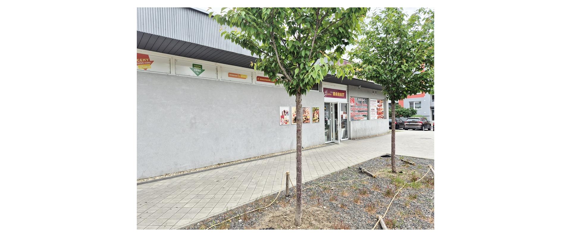JKV REAL prenájom 3-izbový, priestranný byt v centre Malacky