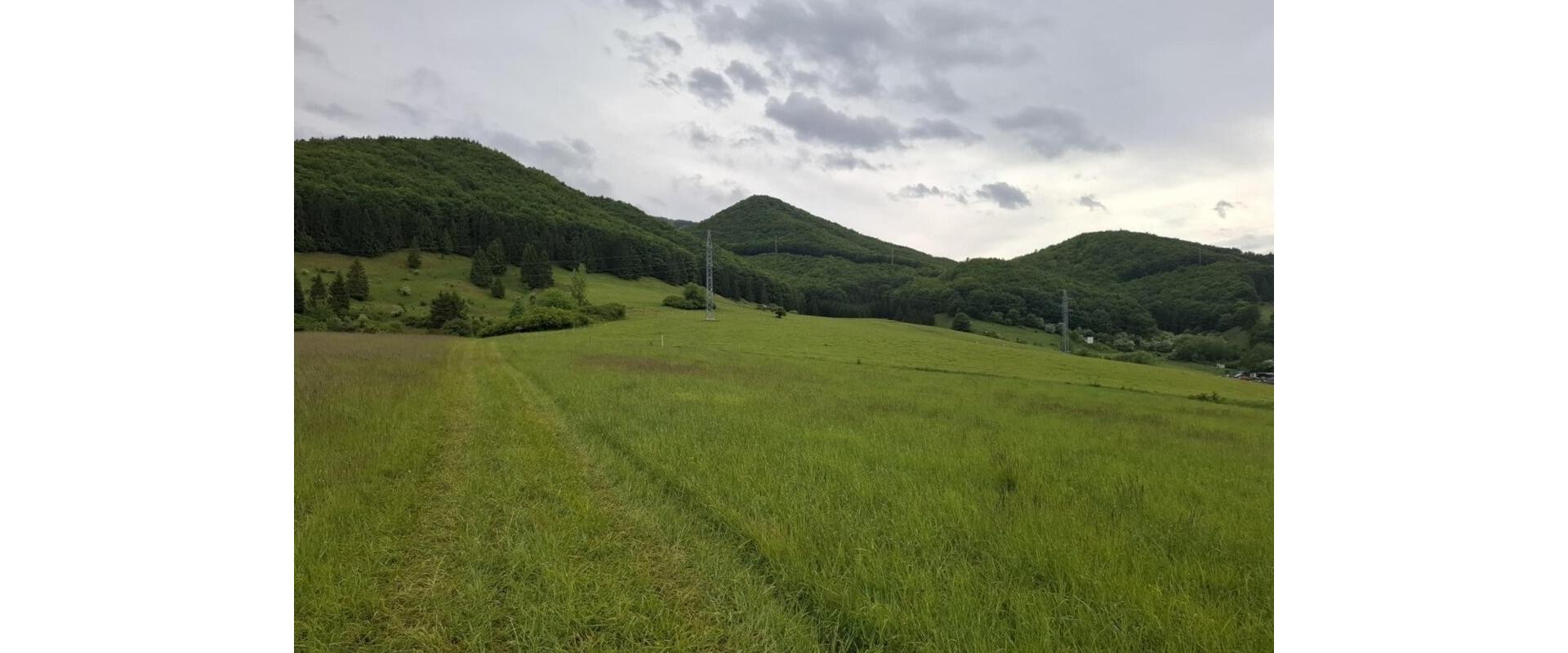 Predaj slnečného pozemku v krásnej prírode – Strečno - ZA.