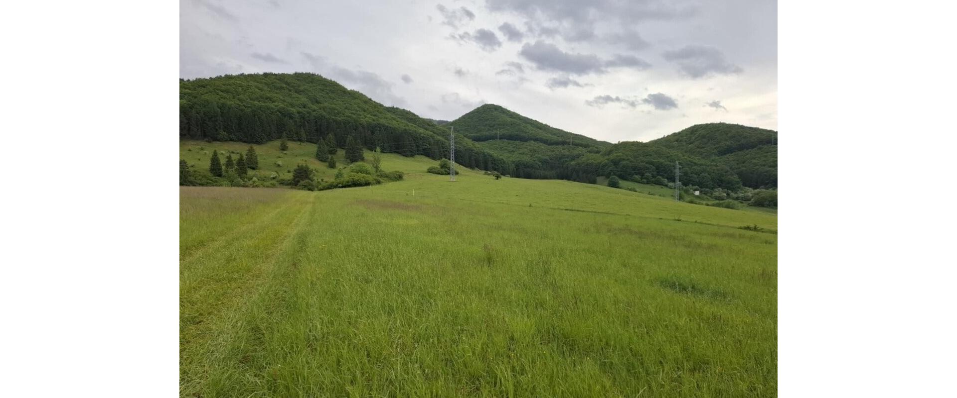Predaj slnečného pozemku v krásnej prírode – Strečno - ZA.