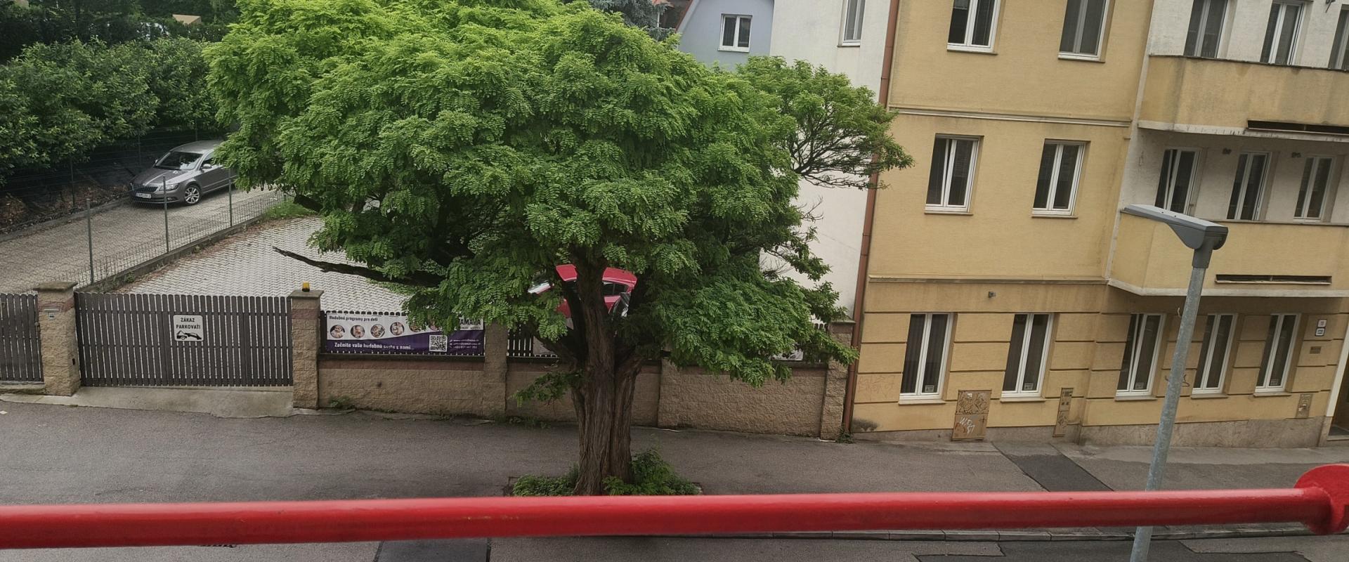 Na prenájom 3-izbový byt- 60 m² v centre mesta, pri Auparku.