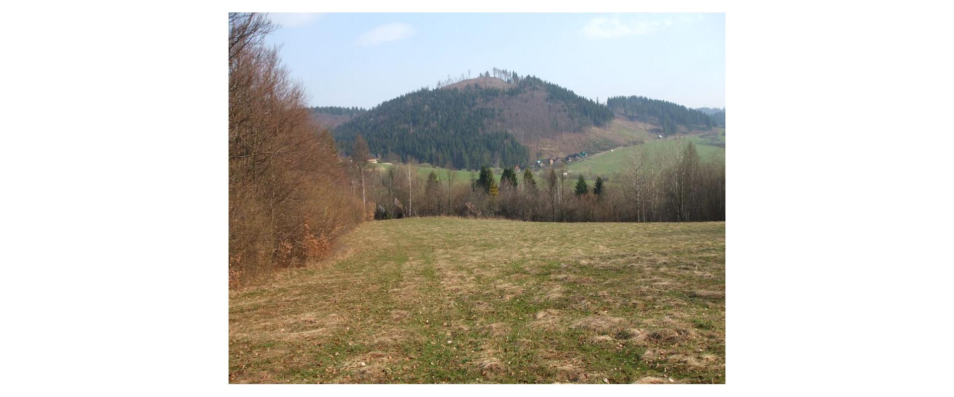 Ponúkam na predaj pozemok o výmere 48 338 m² v obci Lysica.
