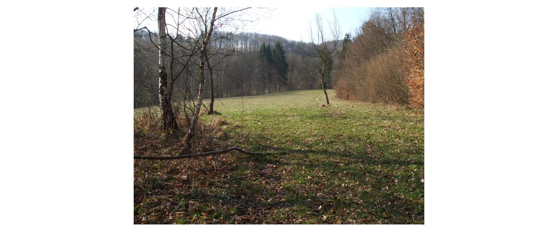 Ponúkam na predaj pozemok o výmere 48 338 m² v obci Lysica.