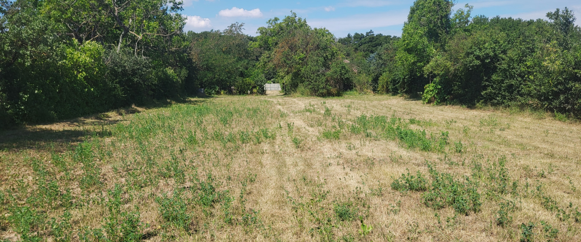 PREDAJ | Rovinatý pozemok s výmerou 2658 m² v obci Veľká Ida