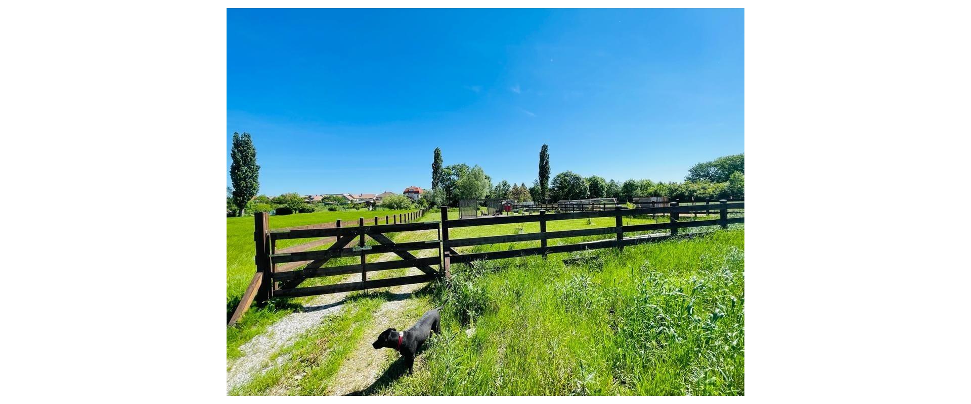 VÝNIMOČNÝ POZEMOK V OBCI ŠTEFANOVÁ | 2 394 m²