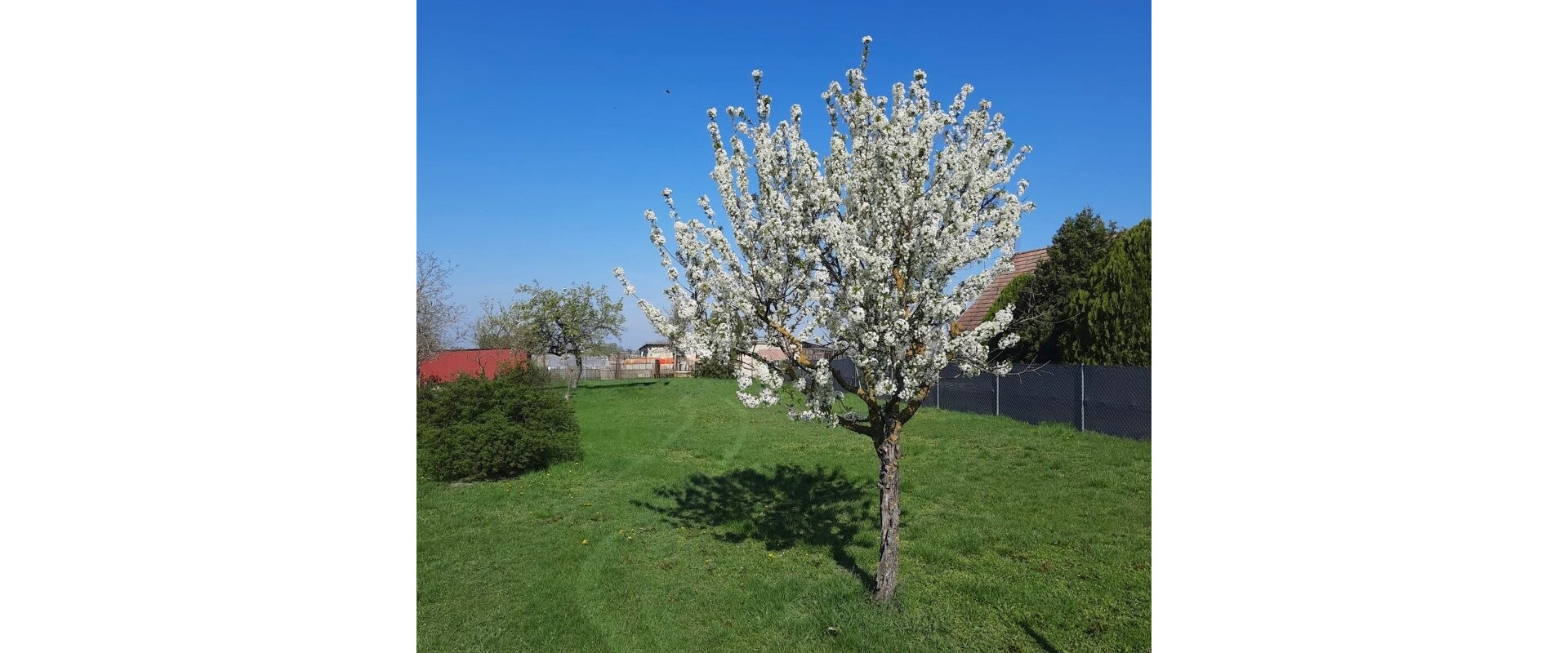 Exkluzívny stavebný pozemok (801 m²)