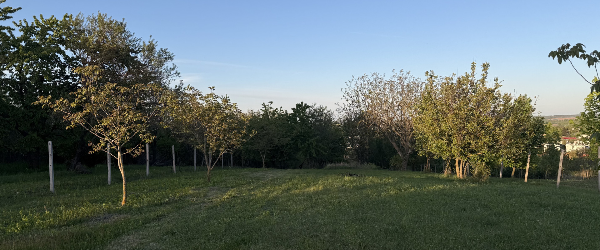 Na predaj dom s vinicou a veľkým pozemkom – Veľký Kýr