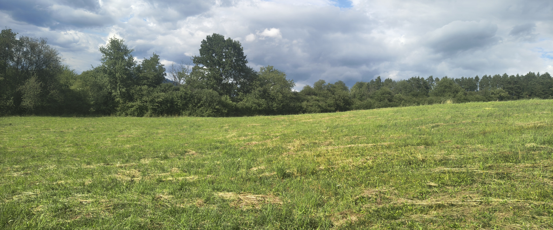 Investičný pozemok o výmere 964 m² na predaj- Budatín, Žilina