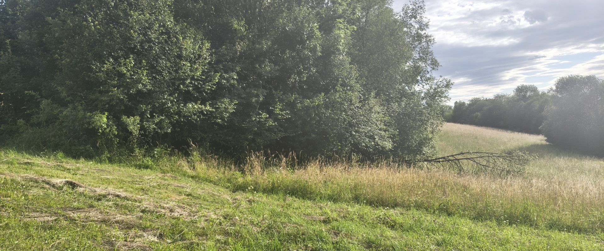 Investičný pozemok o výmere 964 m² na predaj- Budatín, Žilina