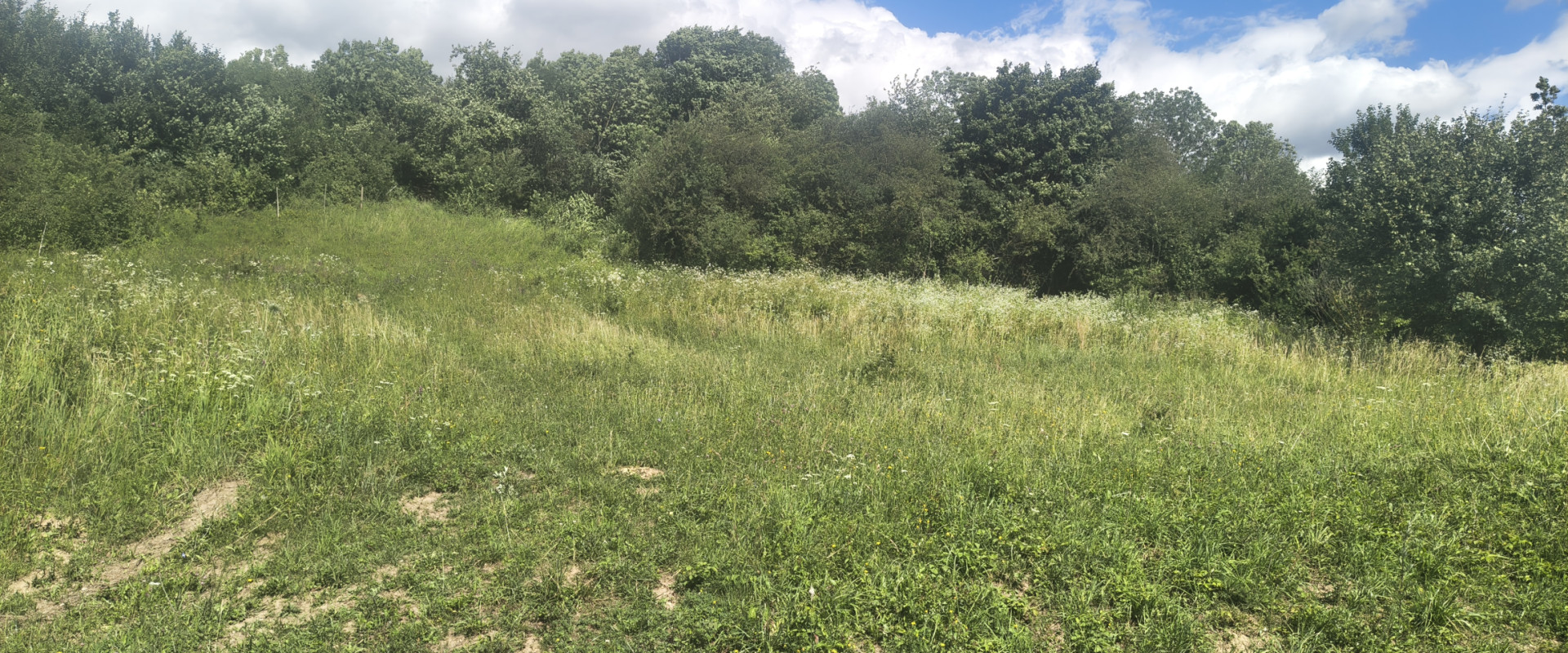POZEMOK vhodný na výstavbu NA PREDAJ– 598 m² v obci Porúbka.