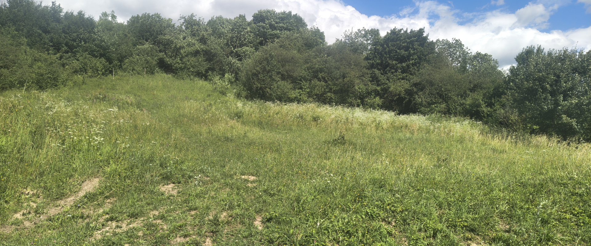 POZEMOK vhodný na výstavbu NA PREDAJ– 598 m² v obci Porúbka.