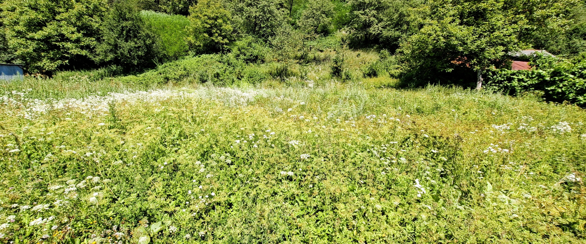 POZEMOK V OBJATÍ PRÍRODY – 1 348 m², JUŽNÁ ORIENTÁCIA, SÚKROMIE A DOMAŠA NA DOSAH