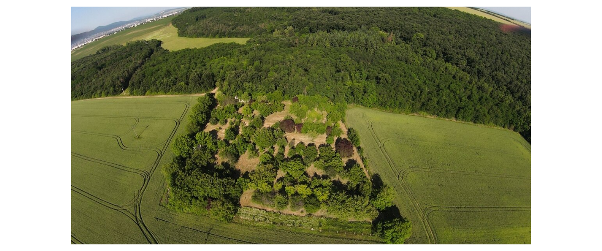 🌳 JEDINEČNÝ OVOCNÝ SAD 10 000 m² – PÁROVSKÉ HÁJE, NITRA
