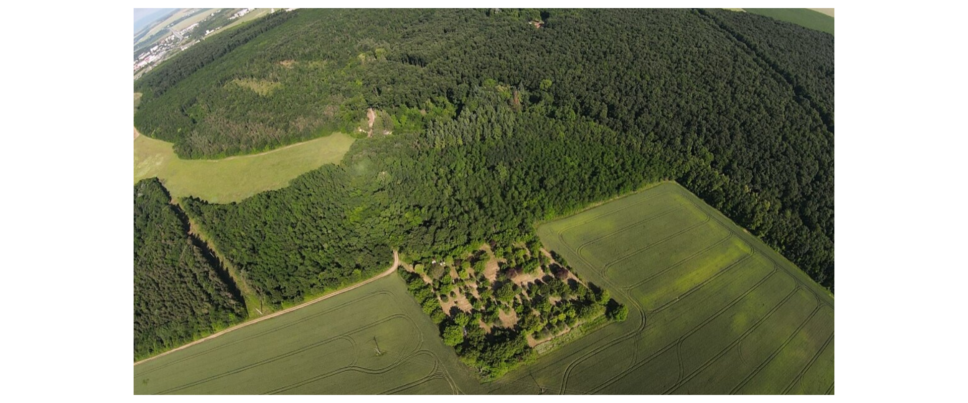 🌳 JEDINEČNÝ OVOCNÝ SAD 10 000 m² – PÁROVSKÉ HÁJE, NITRA