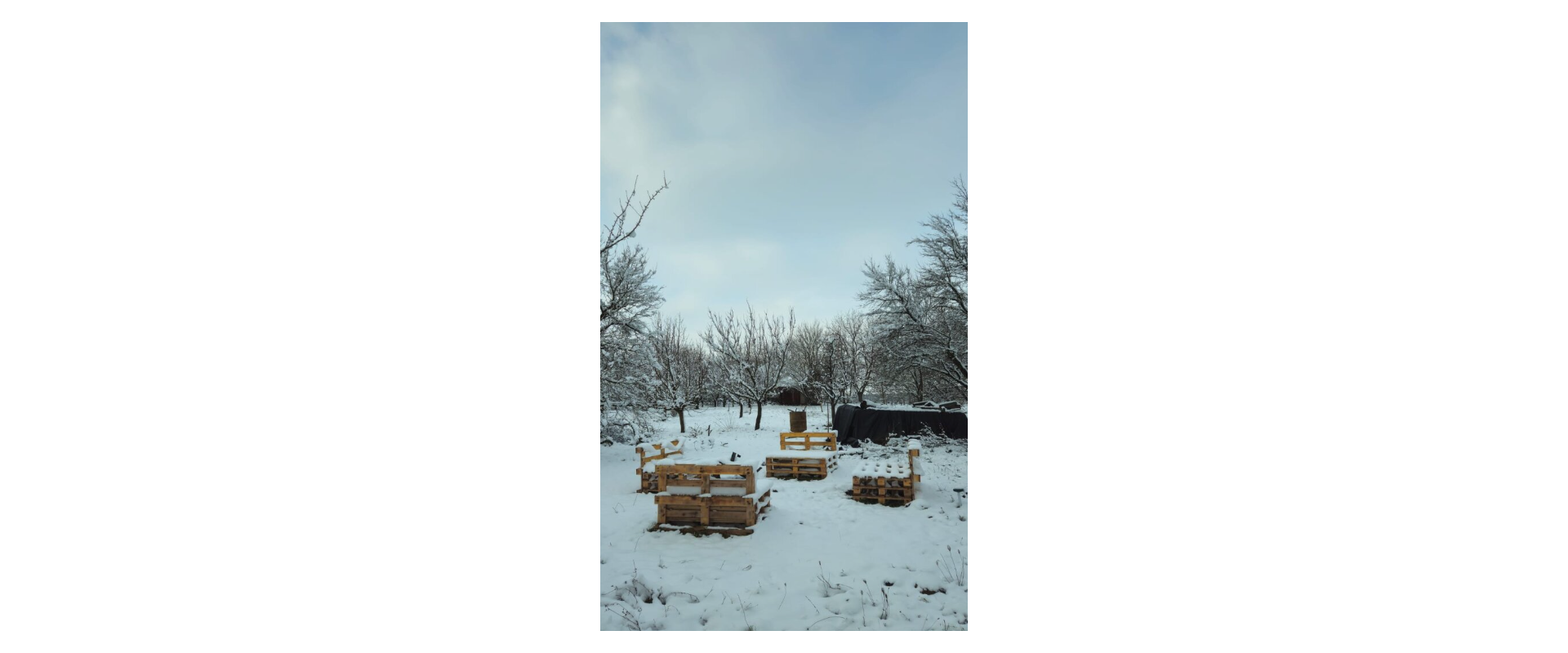 🌳 JEDINEČNÝ OVOCNÝ SAD 10 000 m² – PÁROVSKÉ HÁJE, NITRA
