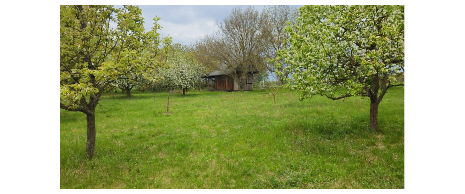 🌳 JEDINEČNÝ OVOCNÝ SAD 10 000 m² – PÁROVSKÉ HÁJE, NITRA