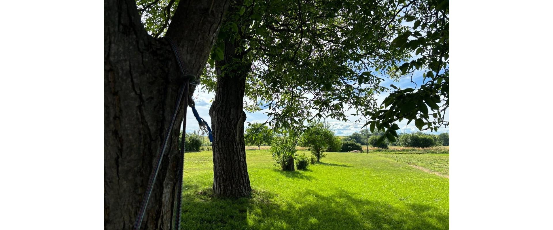 🏡RODINNÝ DOM S OBROVSKÝM POZEMKOM 2 214 m²|NOVÉ SADY–NITRA