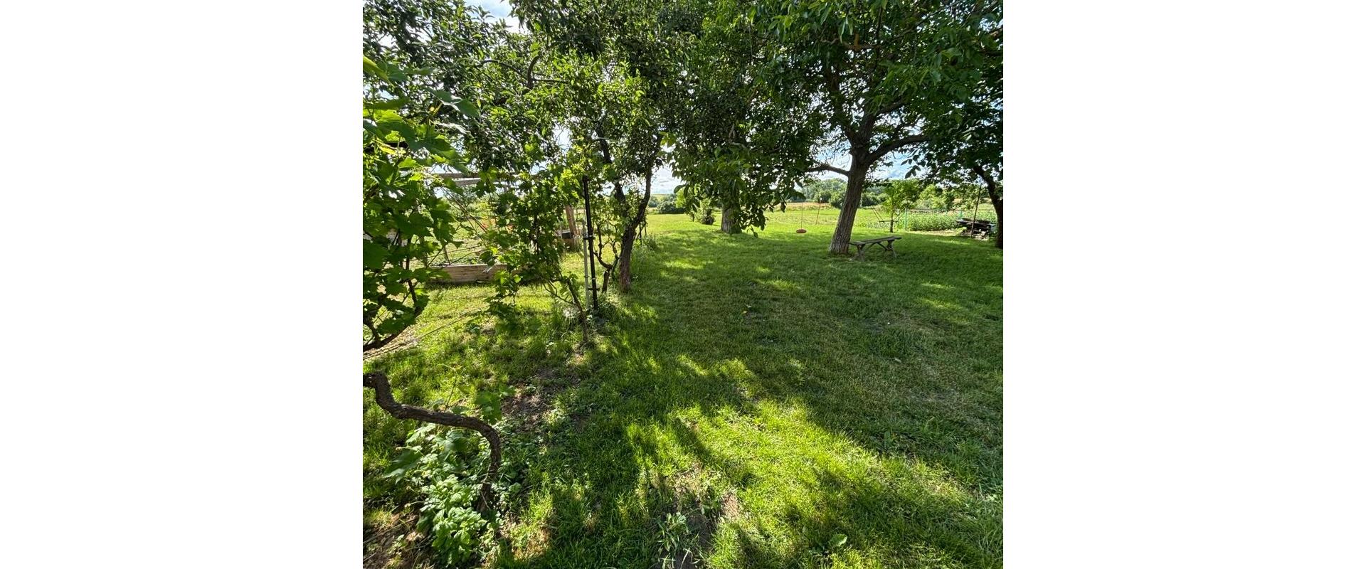 🏡RODINNÝ DOM S OBROVSKÝM POZEMKOM 2 214 m²|NOVÉ SADY–NITRA