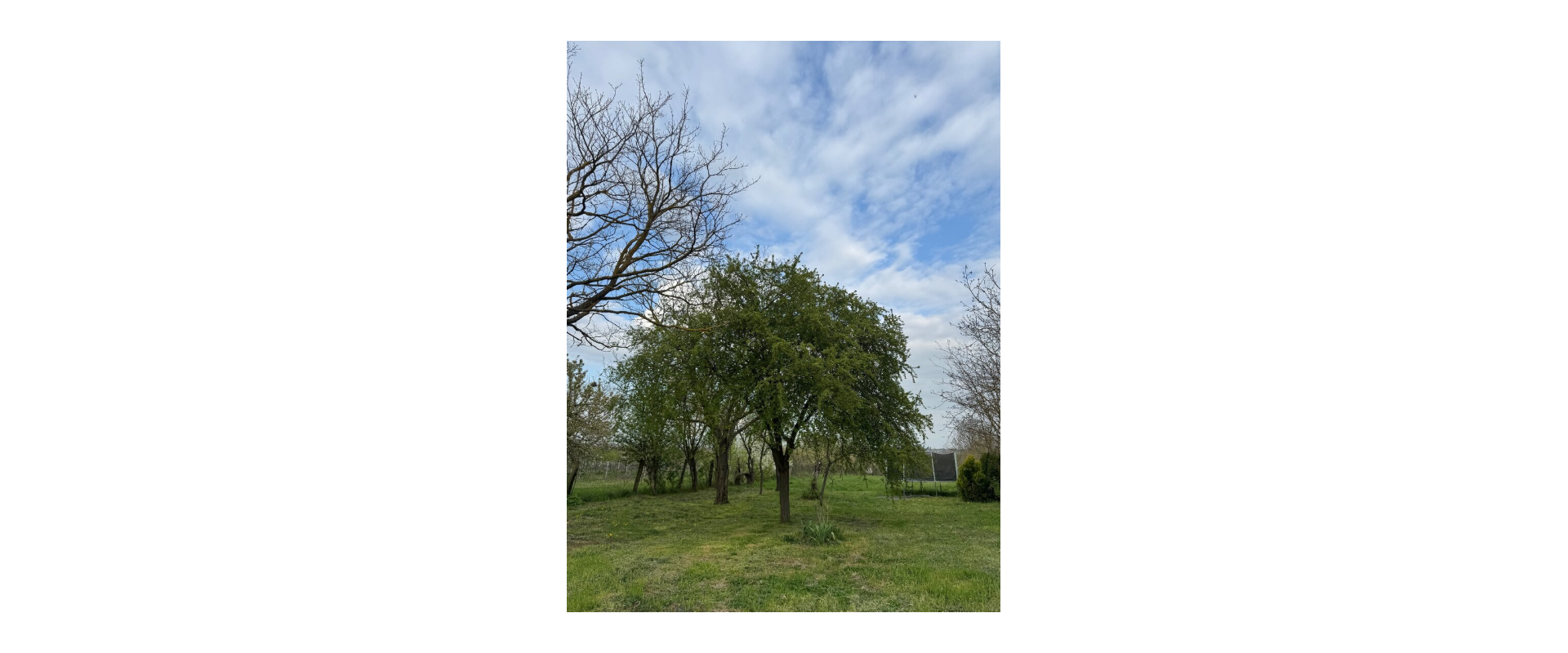 SLNEČNÝ STAVEBNÝ POZEMOK S VÍNNOU PIVNICOU