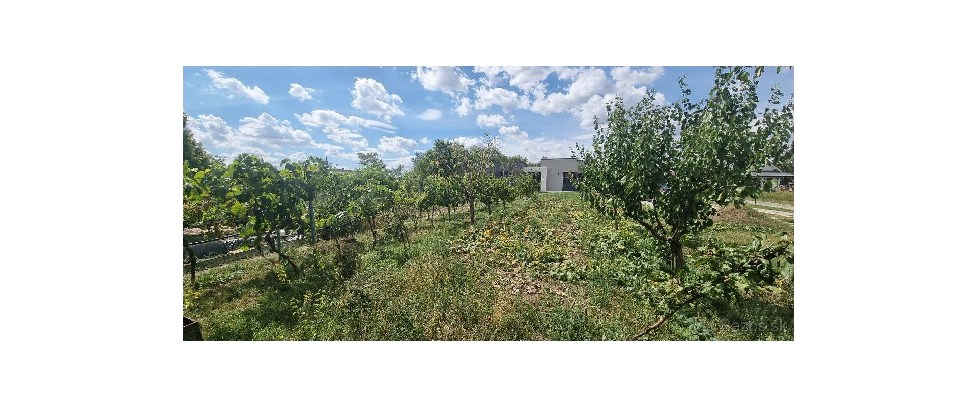 5-IZBOVÝ RODINNÝ DOM S VEĽKÝM POZEMKOM A ZÁHRADOU|HÁJSKE,180k