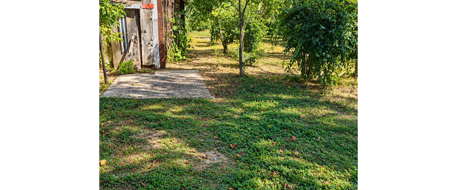Rodinný dom s pozemkom 1 469 m² – Choča