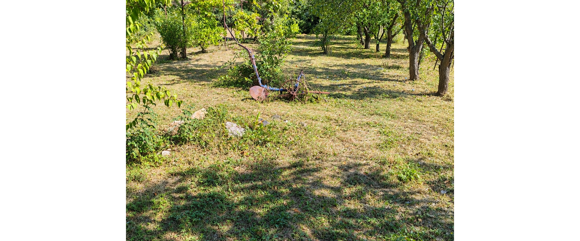 Rodinný dom s pozemkom 1 469 m² – Choča