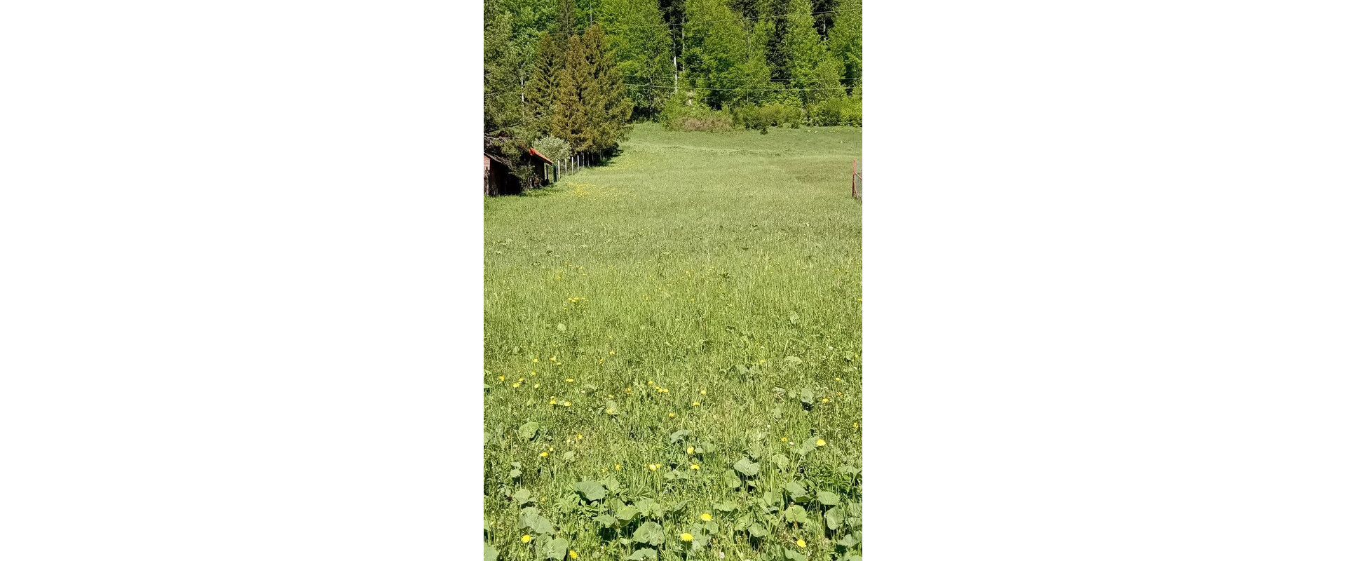 Stavebný pozemok 1507m2 pri lyžiarskom vleku- Mlynky, Biele Vody